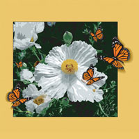 Egg Flower Poppy - Yellow